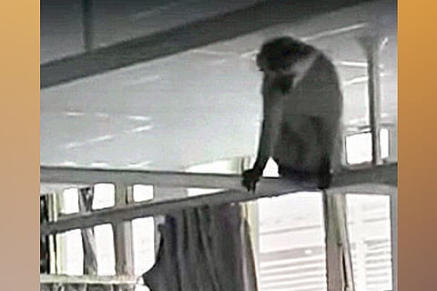 DeTect: Video from S Africa shared as that of hospital in India