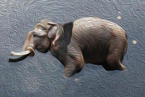 Representative image