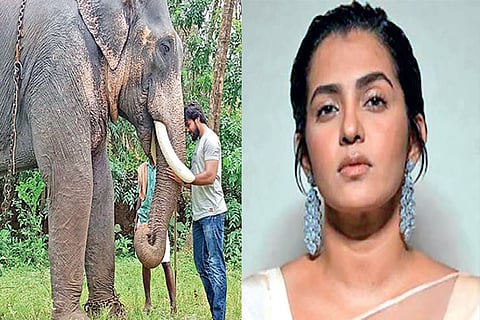 Arav in Raja Bheema; Parvathy Thiruvothu