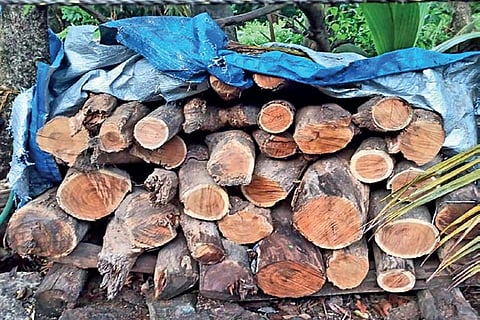 A load of logs cut from the reserve forests