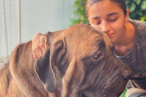 Alia Bhatt poses with Ranbir's pet dog