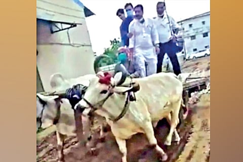 BMW to bullock carts: Industrialists drive a point home