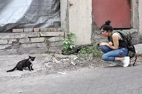 Adah Sharma's important message while feeding stray animals