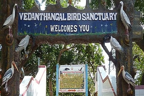 TNCC opposes govt move to reduce Vedanthangal zone