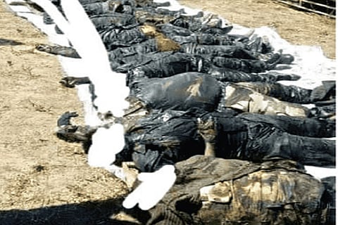 DeTect: Image from Nigeria shared as that of Indian martyrs