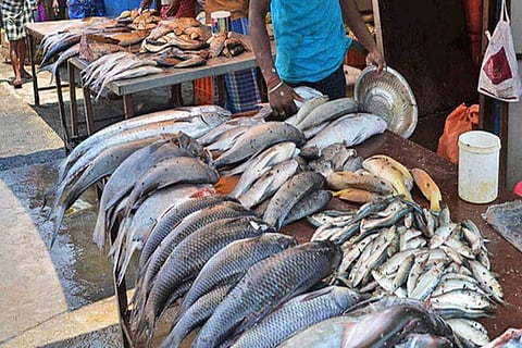 No Sunday sale at fish stalls, orders Erode dist administration