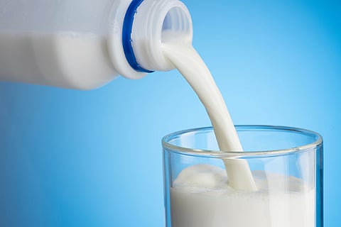 Milk powder imports will harm farmers: Dairy industry