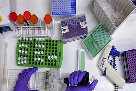 Pharma biz seeks clearance of imported APIs, medical devices