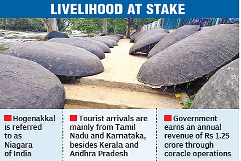 Peak season gone, rough ride ahead for coracle operators