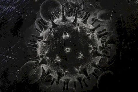 Flu virus with 'pandemic potential' found in China