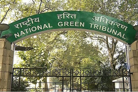NGT directs DDA to constitute special purpose vehicle for Yamuna rejuvenation