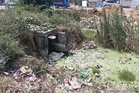 Due to the lake being severely polluted, villagers who bathe and wash clothes suffer from skin diseases