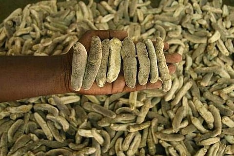 Representative Image