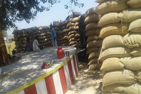 Paddy stocked in the open at a facility in Vellore district