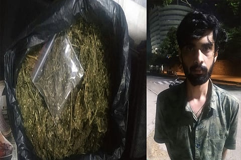 The seized ganja; Pranav Jha