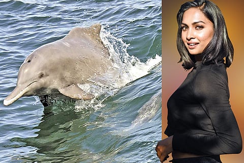 Meera Suresh, Model-makeup artist