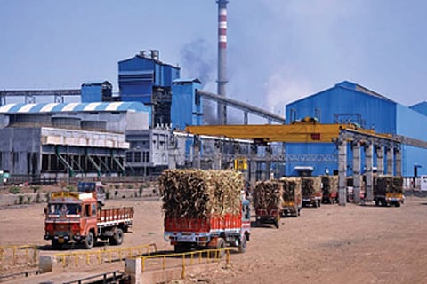 Vellore sugar mill
