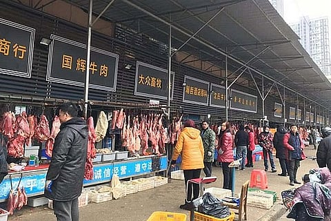 The Huanan Seafood Wholesale Market (pictured) in Wuhan may have been the starting point of this outbreak