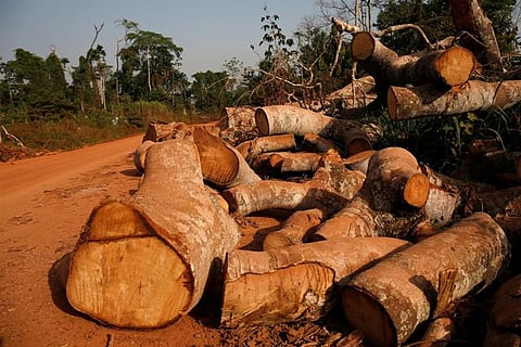 Image courtesy: Reuters