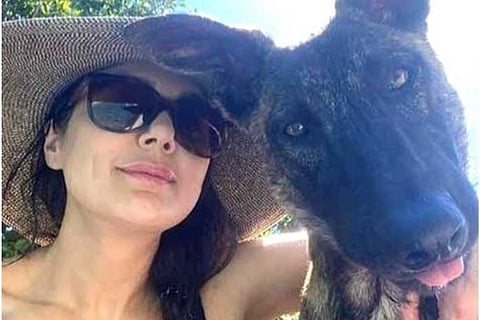 Preity Zinta spends 'pool day' with pet pup