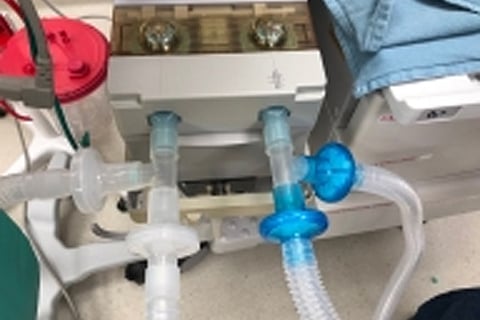 Image courtesy: IANS