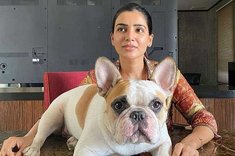 Samantha and her pet dog cannot be beaten in this job
