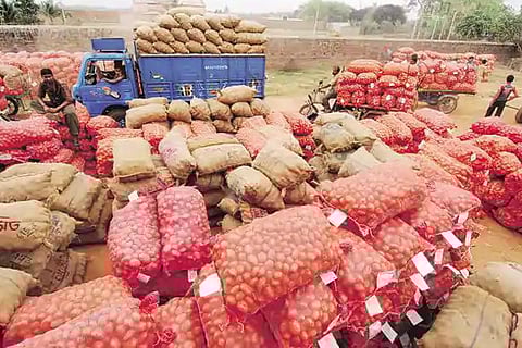 New pricing structure cheers Vellore ryots