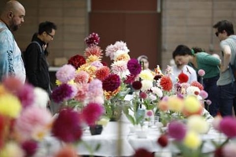 Circles in San Francisco parks to ensure social distancing