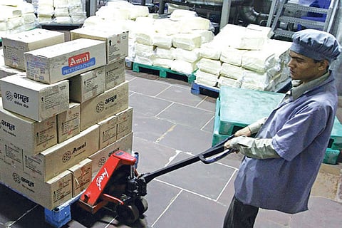 Dairy infra fund to add 5 cr litres more milk, 30L jobs: Sodhi