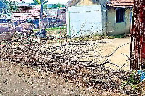 Streets and houses barricaded with branches in a hill hamlet.