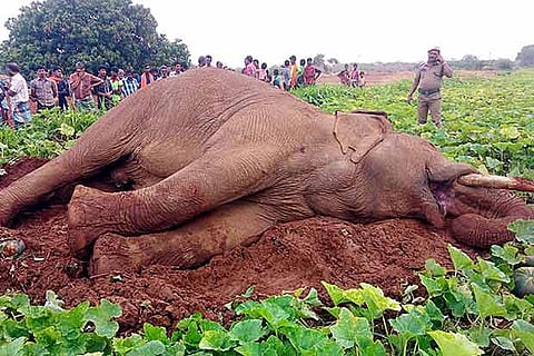 Representative Image