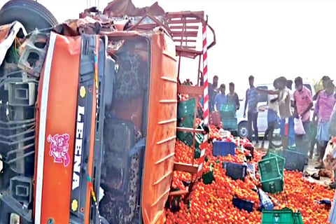 It was free-for-all as onlookers pick tomatoes strewn across the road after the accident