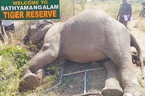 Representative Image