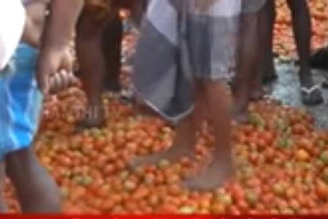 Dharmapuri farmers protest against the drop in price of Tomatoes