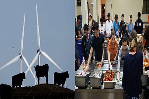 Environmental issues: Veganism not the way to meet climate goals