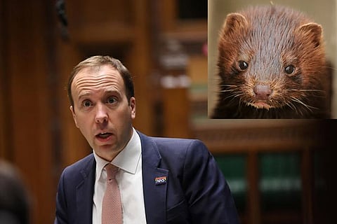 Photo: Reuters, Pixabay