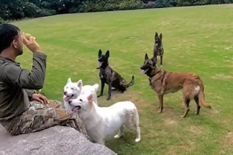 Source: Instagram/M S Dhoni