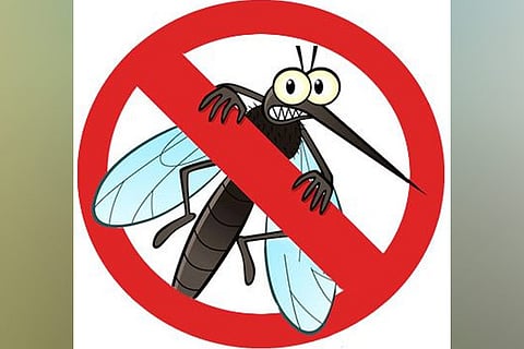 Malaria cases rising in N Chennai, warn govt doctors