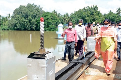 Collector V Santha inspects a waterbody in Tiruvarur on Wednesday