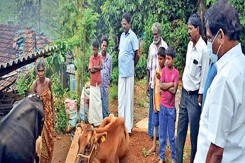 Gudalur MLA interacts with a tribal beneficiary of the free milch scheme in The Nilgiris