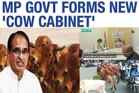 Shivraj Singh Chauhan, Madhya Pradesh Chief Minister