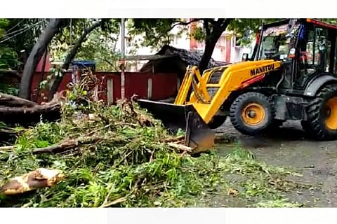 Tree clearing operations started early in Chennai