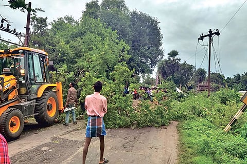 Uprooted trees being removed in Nagapattinam district on Thursday