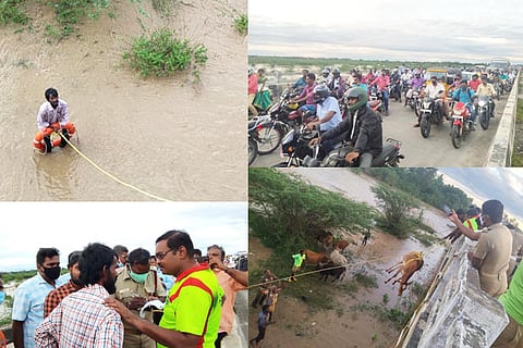 Dozen cows, inebriated man rescued from Kanchipuram lake bed