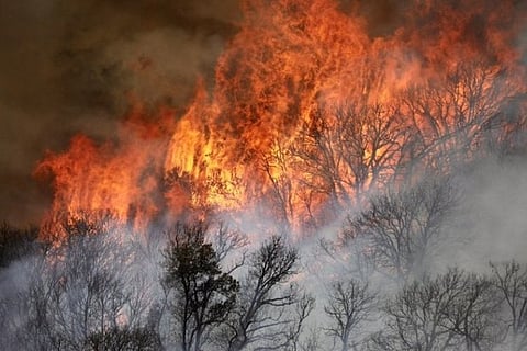 Picture Credit: IANS twitter profile