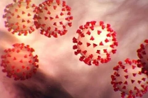 Rigorous hygiene routine to beat Covid increased OCD cases