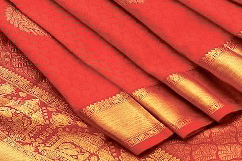 A Nalli Kancheepuram silk saree
