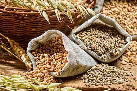 Kharif foodgrains production likely to be record 144.52 mn tonnes in 2020-21: Agri Minister