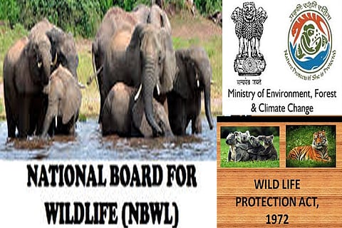 Editorial: A jumbo protection policy needed