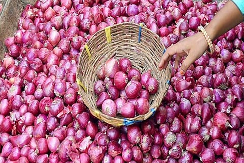 Onion import worries Ranipet farmers